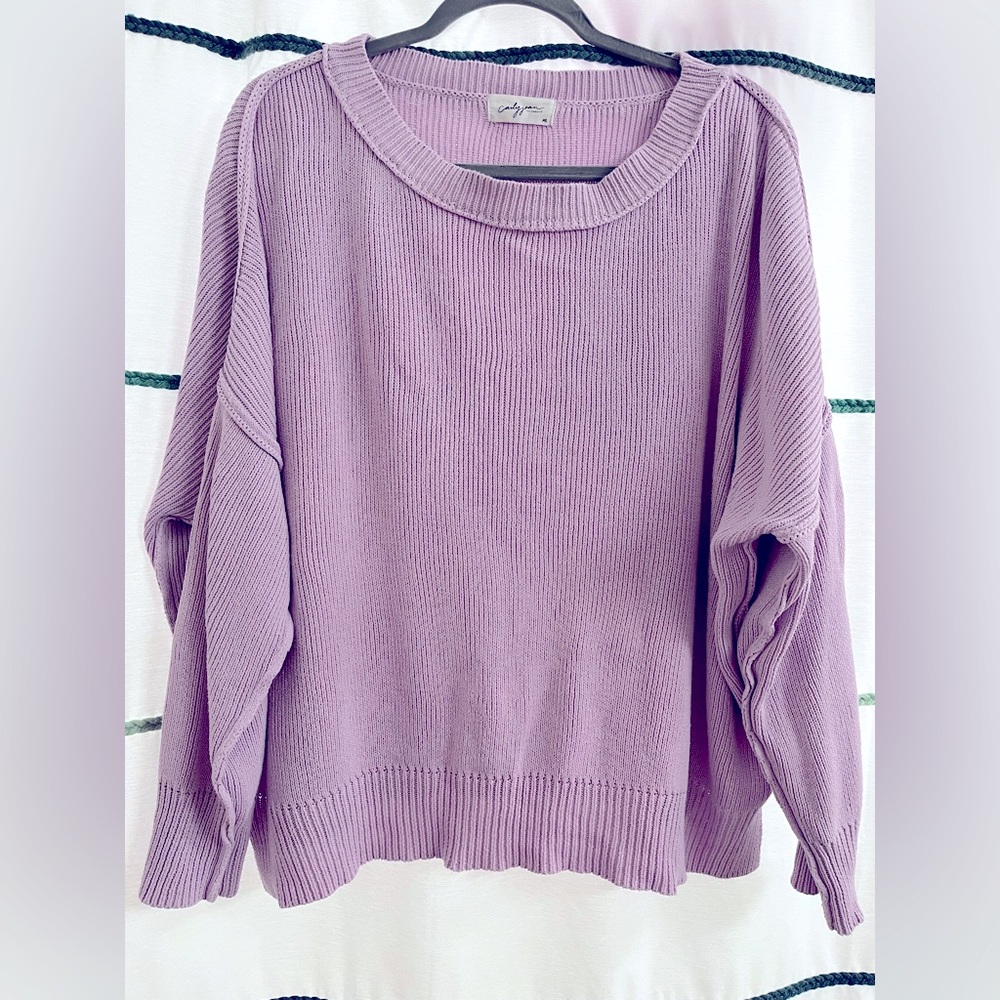 Carly Jean Los Angeles Cynthia Sweater in purple, size M/L